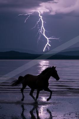 A dramatic negative space sky scene of a lightning.