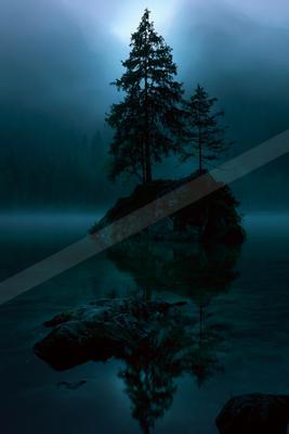 Two tall pine trees stand on a rocky island in a calm mountain lake, surrounded by thick fog with their reflections visible in the still water.