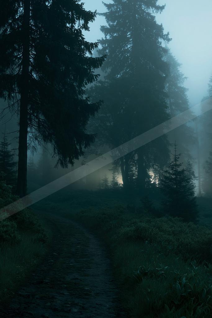 A night nature scene of forest, fog.