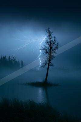 A dramatic sky scene of storm, trees, fog.