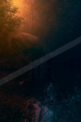 A night long exposure water scene of lake, river, forest.