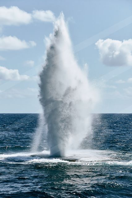 A bright water scene of ocean.