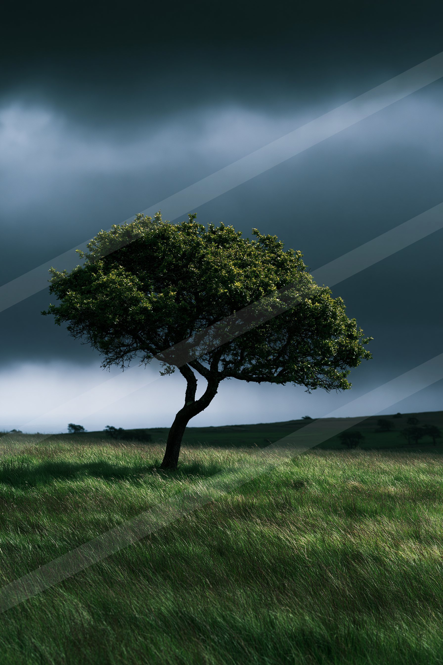 A dramatic high contrast sky scene of a storm.