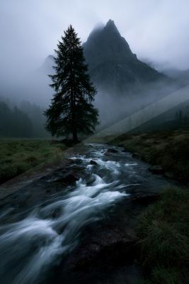 A fast-flowing stream rushes over rocks through a misty mountain valley, with a tall solitary pine tree standing on the grassy bank and a rugged peak shrouded i