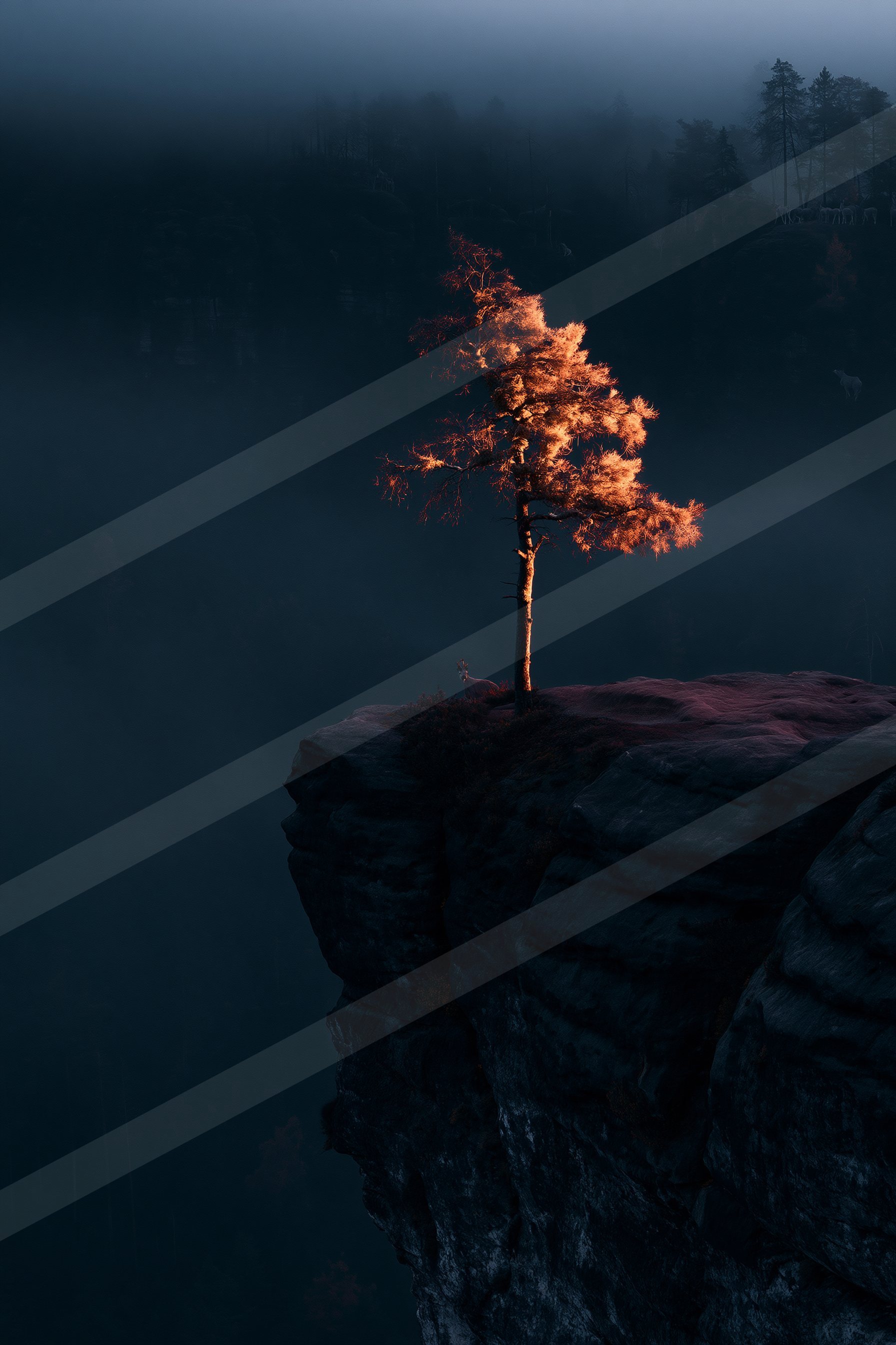 A mysterious landscape of a cliff, fog.