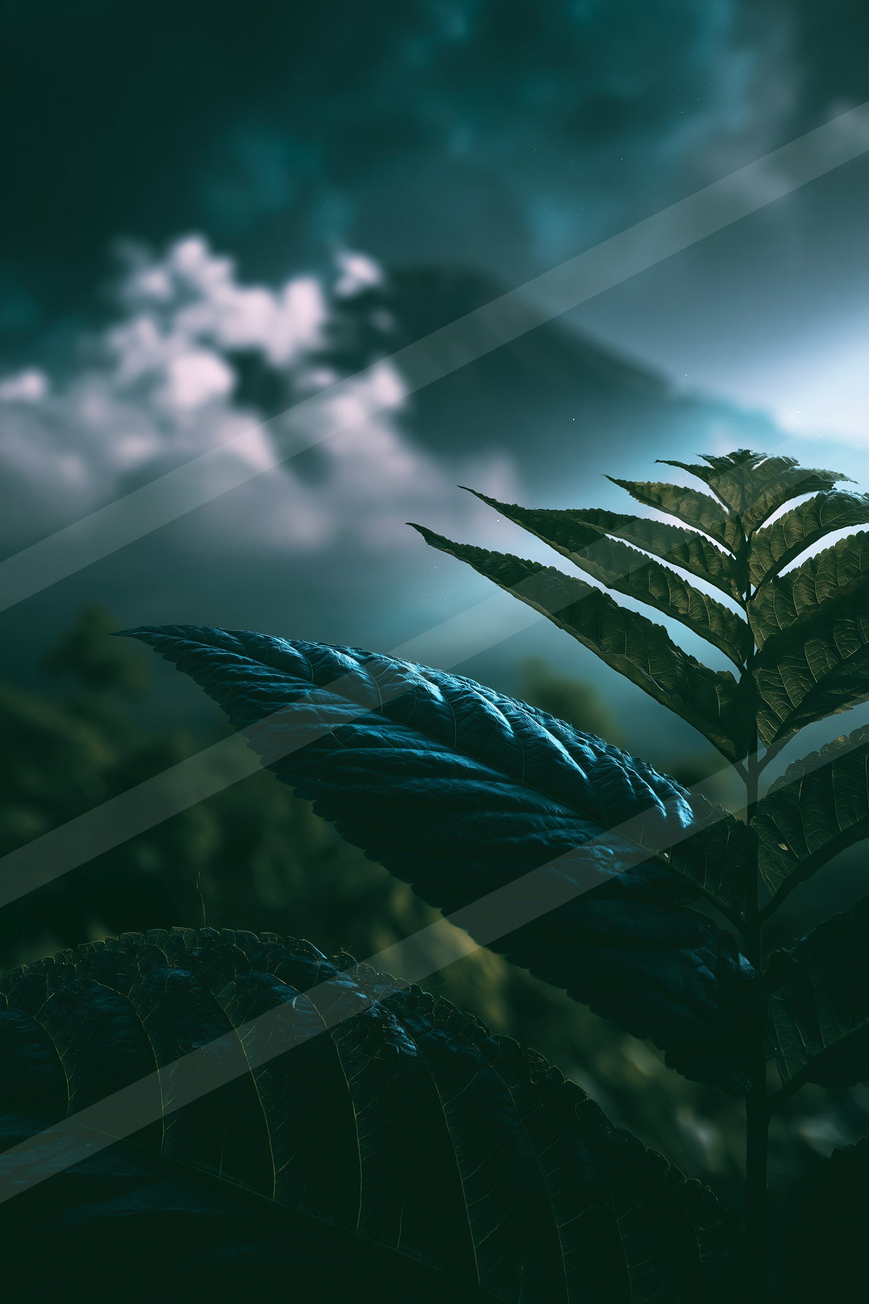 Large, detailed leaves in the foreground against a moody twilight sky filled with clouds.