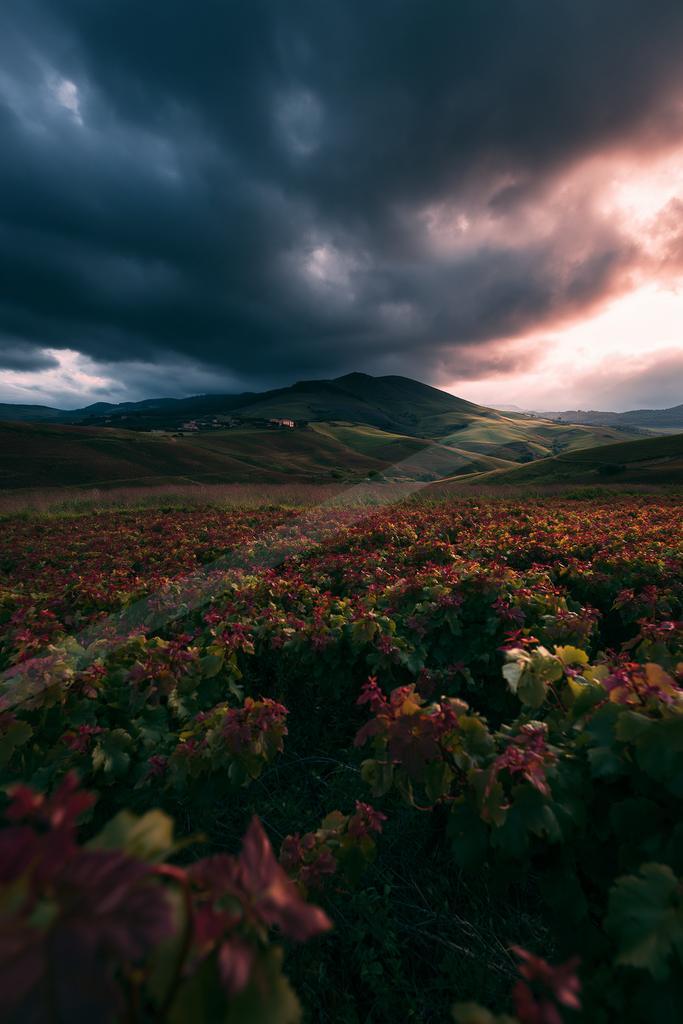 A dramatic sky scene of storm, clouds, field.