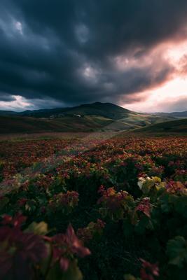 A dramatic sky scene of storm, clouds, field.