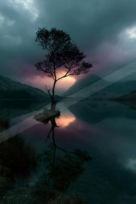 A solitary tree stands on a small island in a still lake, its reflection mirrored perfectly in the water, with dramatic purple and orange clouds at sunset behin