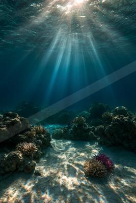 A moody water scene of ocean.