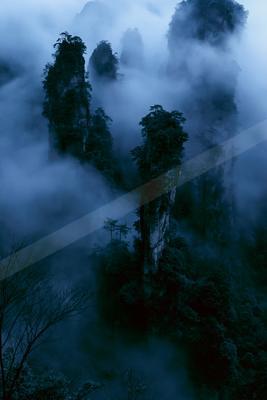 A moody landscape of mountains, forest, trees.