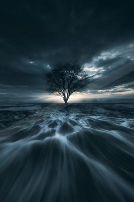 A serene nature scene of trees, lake, ocean.