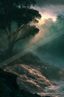 A night nature scene of trees, river, ocean.