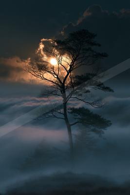 A night sky scene of moon, sunrise, storm.