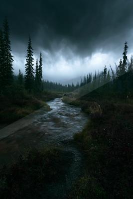 A serene water scene of river, forest, field.