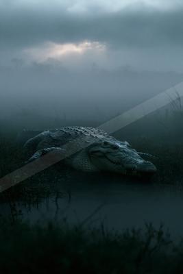 A large crocodile lies on a grassy bank at the edge of dark water, surrounded by thick fog under a cloudy sky with light breaking through.