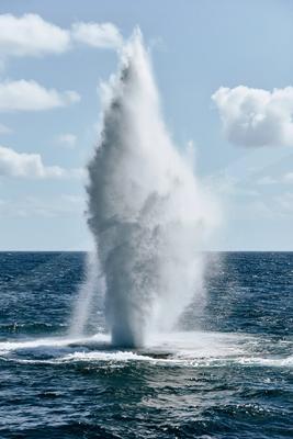 A bright water scene of ocean.