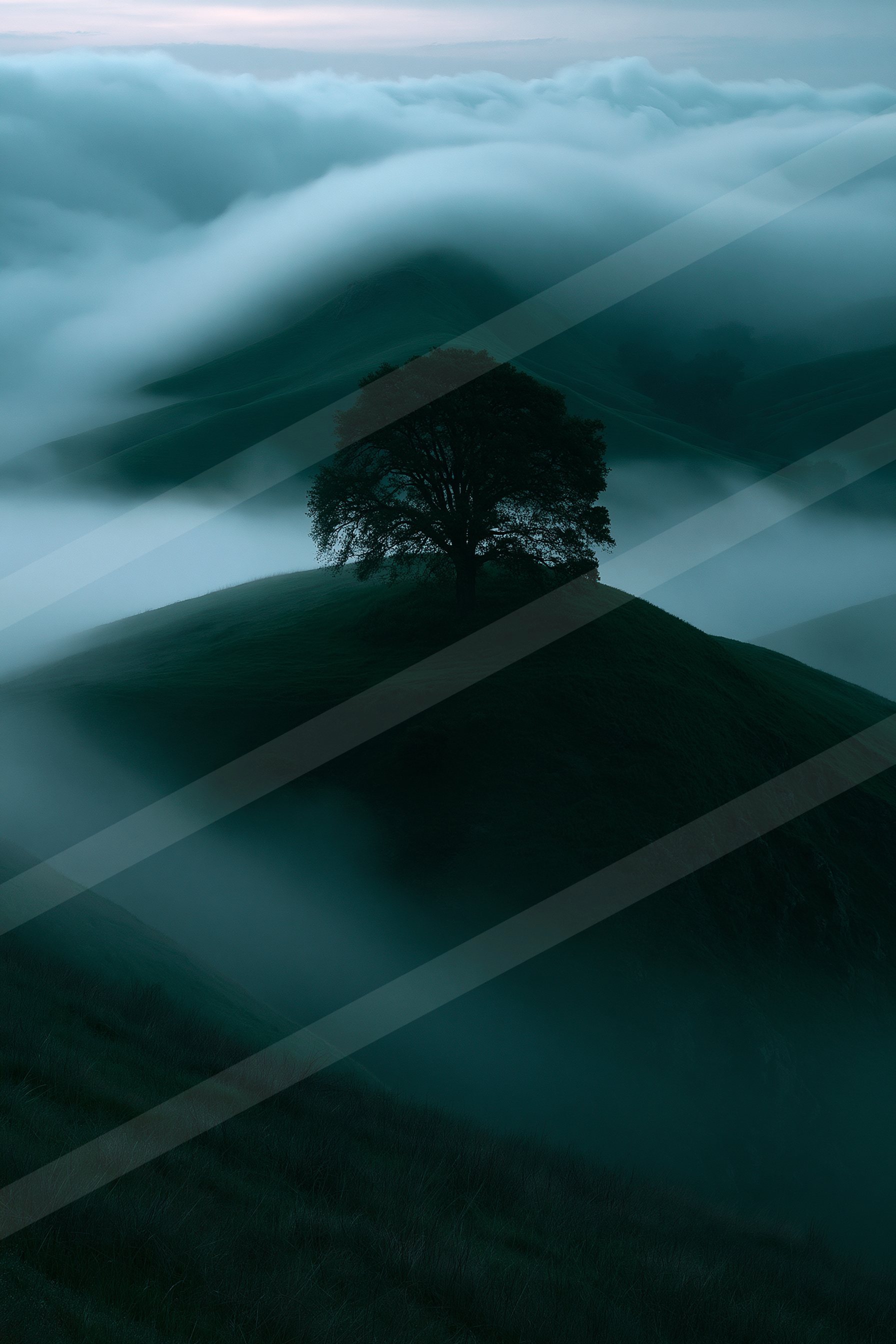 A lone tree stands silhouetted against a sea of mist in a serene mountainous landscape.
