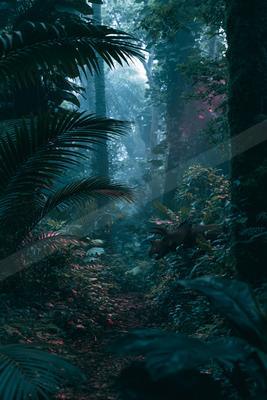 A night nature scene of forest, fog.