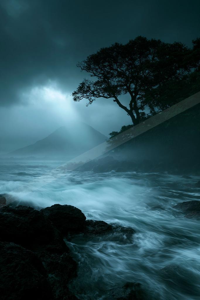 A dramatic stormy coastal scene featuring a silhouetted tree on a rocky shore, turbulent waves crashing against dark rocks, and misty mountains in the backgroun