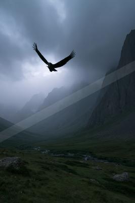 A large dark eagle with wings spread wide soars through a foggy, overcast sky above a vast green mountain valley with a winding stream below.