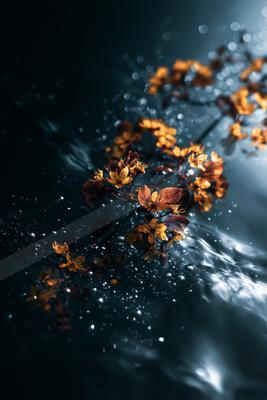 A moody nature scene of flowers, waterfall, plants.