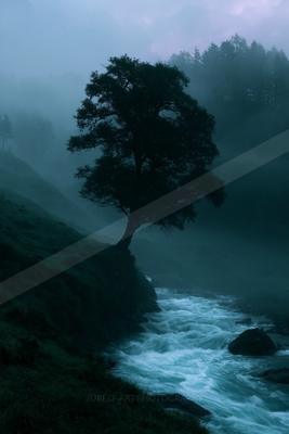 A serene nature scene of trees, river, forest.