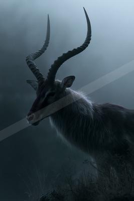 A large antelope with prominent spiraled horns stands in profile against a thick, atmospheric fog, creating a dramatic and mysterious scene.