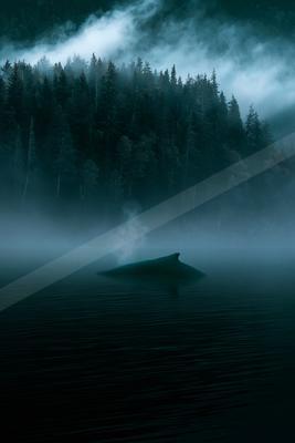 A serene water scene of lake, mountains, ocean.