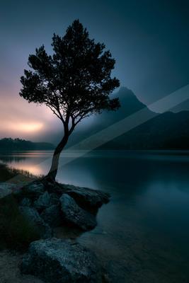 A solitary tree stands on a rocky lakeshore with its silhouette against a colorful twilight sky, misty mountains in the background and calm water reflecting the