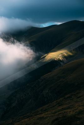 Landscapes