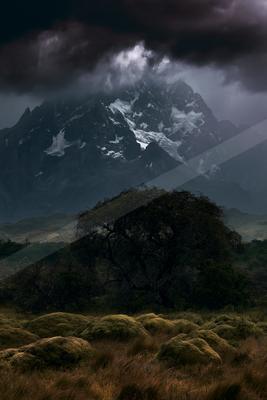 A moody landscape of mountains, trees.