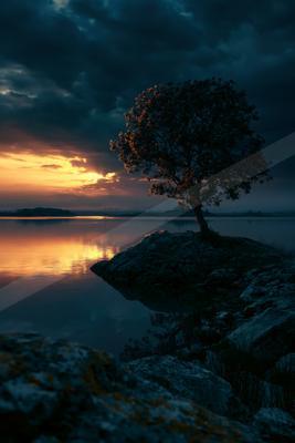 A serene nature scene of trees, lake, sunrise.