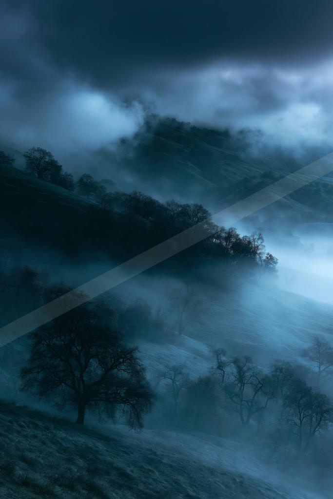 A night long exposure nature scene of trees, storm, valley.
