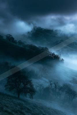 A night long exposure nature scene of trees, storm, valley.