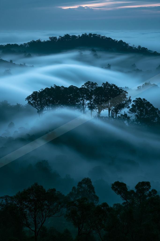 A blue hour long exposure nature scene of trees, forest, valley.