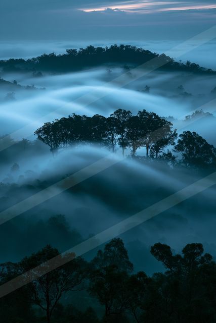 A blue hour long exposure nature scene of a forest, fog.