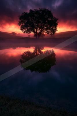 A serene water scene of lake, trees, sunset.