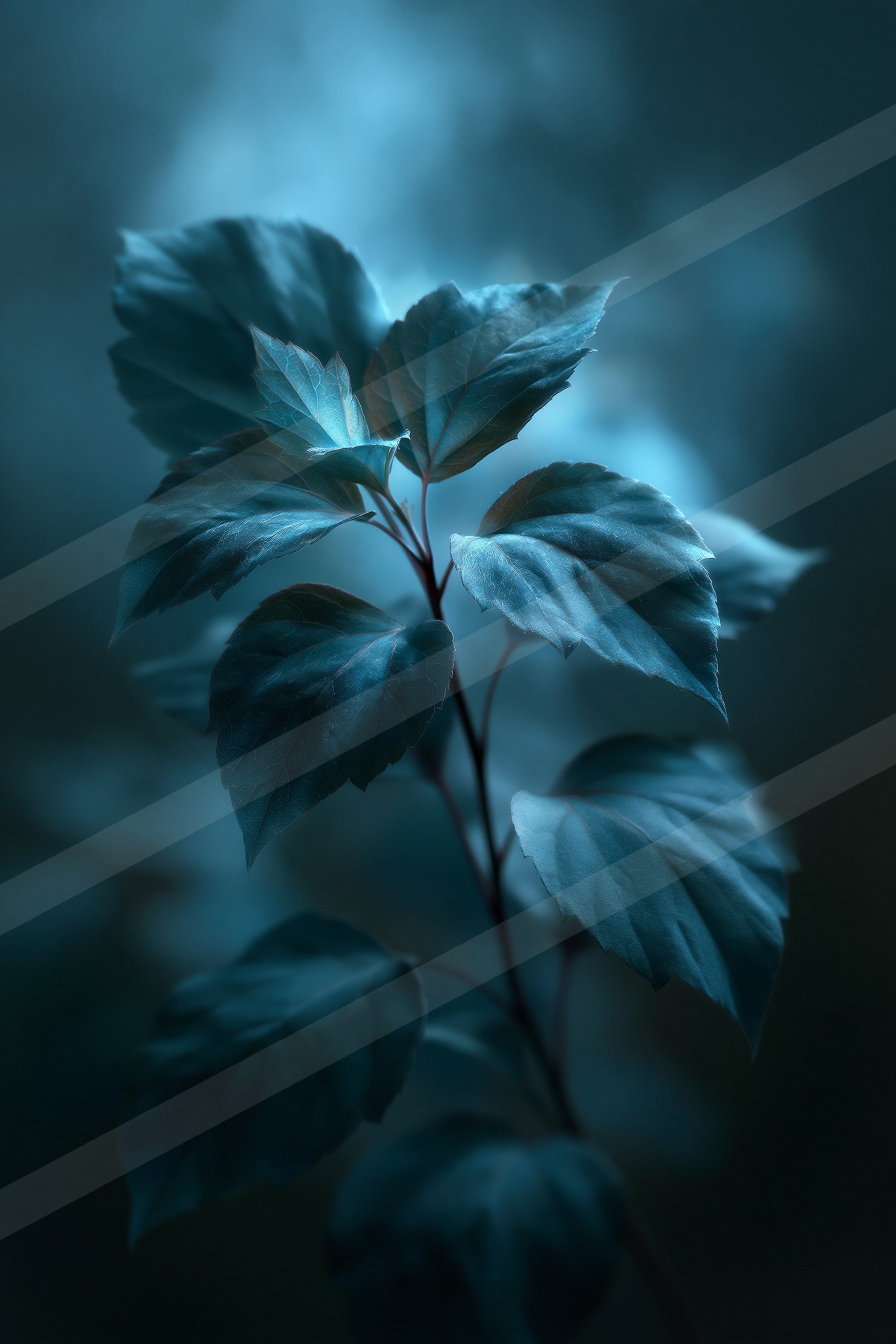 An ethereal soft focus nature scene of a fern, reflection.