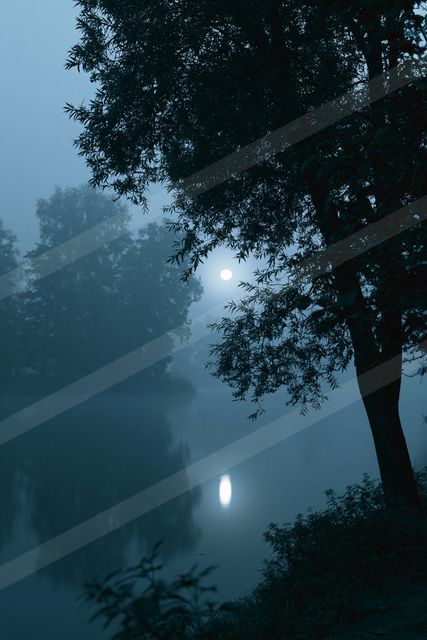 A night water scene of a pond, fog.