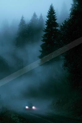 A car drives through a dense forest shrouded in fog under a dark sky.