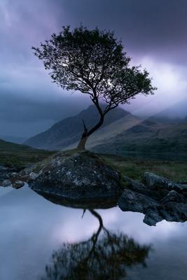 A serene long exposure nature scene of trees, lake, reflection.