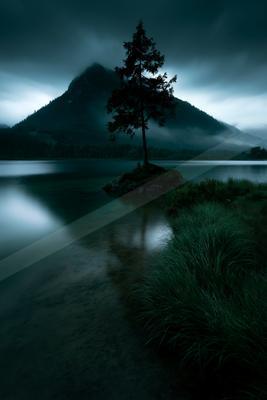 A solitary evergreen tree stands on a small rocky island in a calm mountain lake, surrounded by mist and dark forested peaks under a moody, overcast sky.