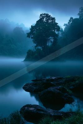 A blue hour long exposure water scene of lake, river, forest.