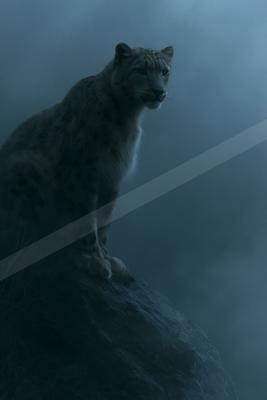 A black-toned moody photograph of snow leopard, egyptian cat, lynx.