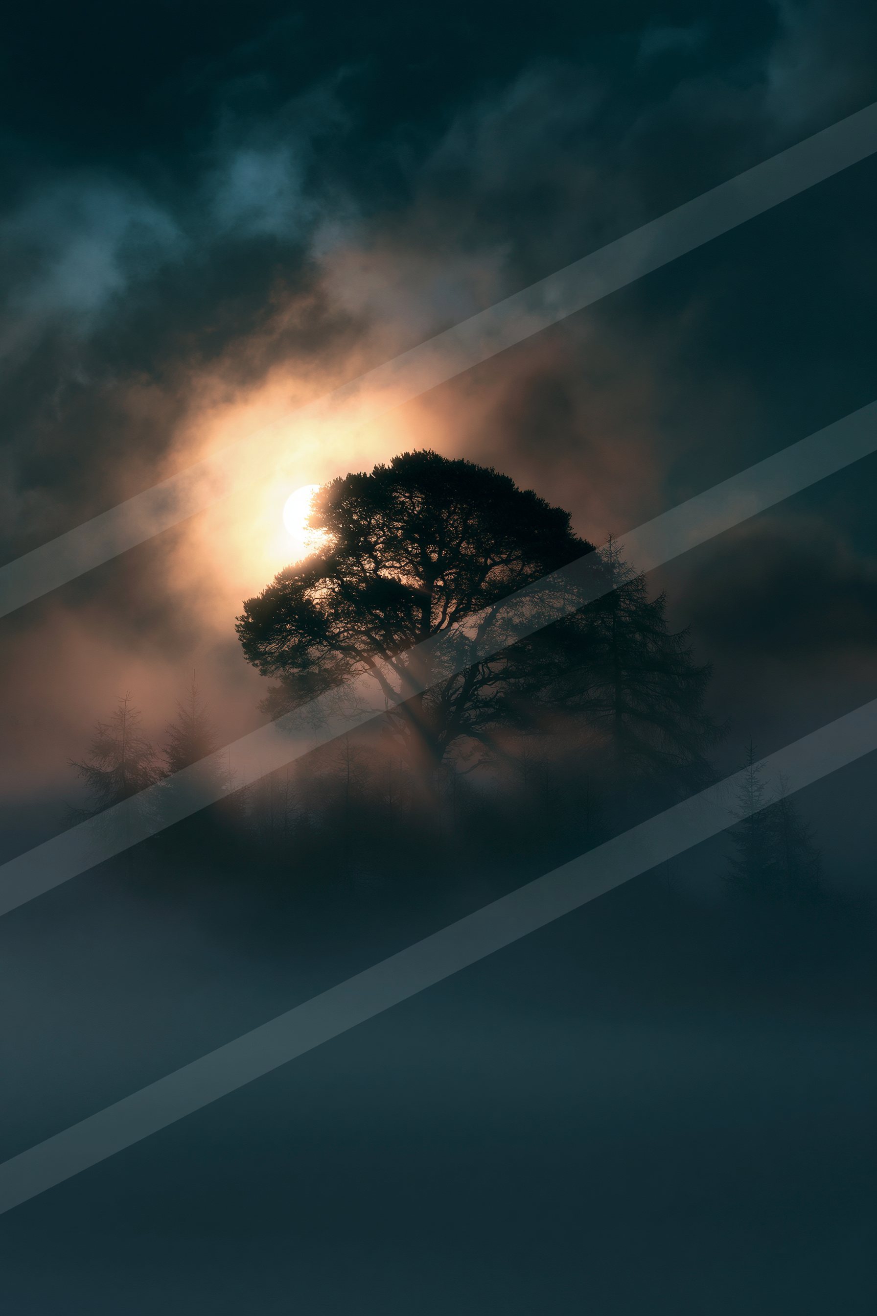 A night sky scene of a sunrise, fog.
