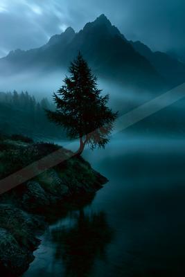 A solitary evergreen tree stands on a rocky lakeshore with thick fog swirling around a jagged mountain peak in the background under a moody blue twilight sky.