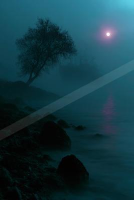 A night high contrast sky scene of a sunrise, fog.