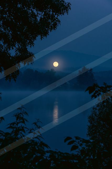 A night sky scene of a moon, fog.