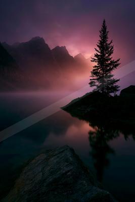 A lone silhouetted pine tree stands on a rocky shore beside a calm lake reflecting a dramatic purple and pink twilight sky with misty mountains in the backgroun